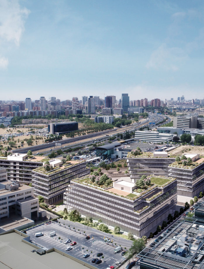 image alt for vertical