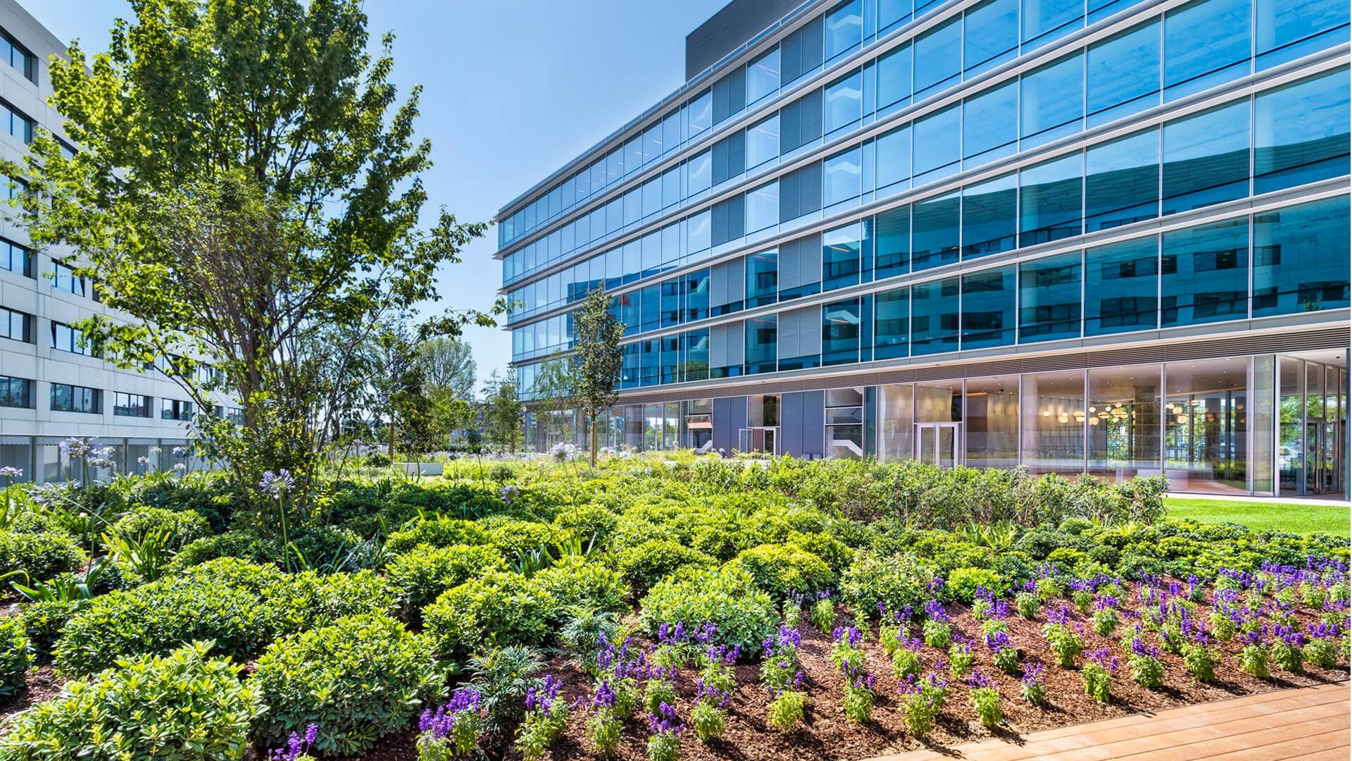 galería de imágenes